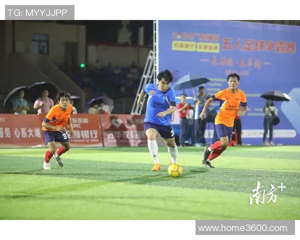 嘉兴足球明星最新名单及详细信息查询指南